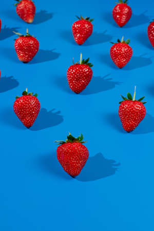 Red strawberries on blue background. Ripe tasty berryの写真素材