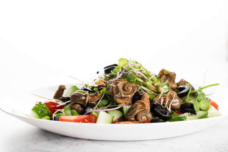 Green salad with snails on white background. French gourmet cuisine.の写真素材