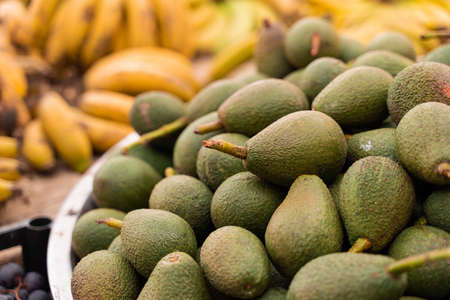 Hass avocado on the market counter. Fresh green avocados