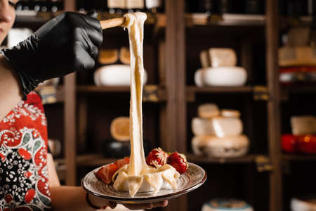 Eating hot baked camembert cheese with grissini sticks. Stretching melted Camembert cheese Italian traditional delicacyの写真素材