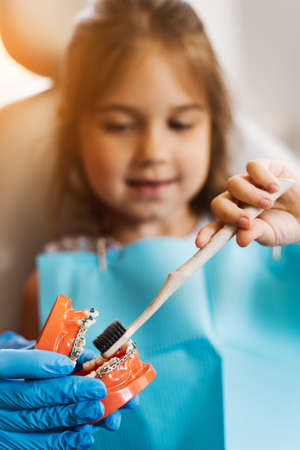 Jaw anatomical model teeth brushing close-up. Pediatric dentist teaching oral hygiene lesson for kids in dentistry. The dentist shows child how to properly use toothbrush for brush teethの写真素材