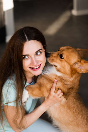 Welsh Corgi Pembroke dog kiss his girl owner at home. Lifestyle with domestic playful pet. Young woman hug lovely Corgi dog and smileの写真素材