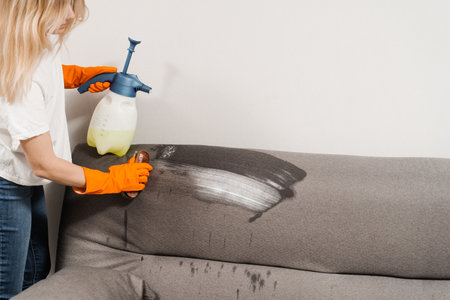 Dry cleaning worker is brushing detergent on the couch and making dry cleaning for removing stains and dirt from couch at home. Professional cleaning serviceの写真素材