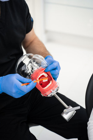 Teeth brushing technique showing by dentist. Doctor uses jaw dental model to explain patient...