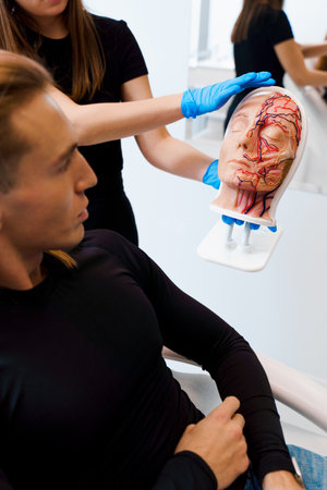 Showing man a mannequin of human head with facial blood supply. Explaining rhinoplasty procedure. Preparation before rhinoplasty surgery in the clinicの写真素材