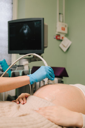Checking fetus health at the gynecology hospital. Gynecologist uses ultrasound scanner for gynecology checkup and tells patient about embryo on the appointmentの写真素材