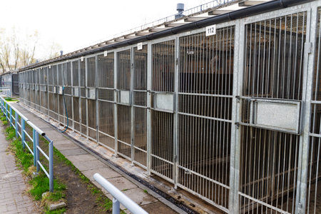 Dog rescue facility with numbered outdoor kennels and fencing. Animal shelter with caged kennels for stray and rescue dogs. Exterior view of animal shelter kennels showing multiple metal cagesの写真素材