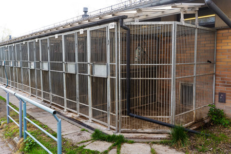 Exterior view of animal shelter kennels showing multiple metal cages. Dog rescue facility with numbered outdoor kennels and fencing. Animal shelter with caged kennels for stray and rescue dogsの写真素材