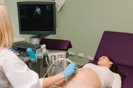 Gynecologist uses ultrasound scanner for gynecology checkup and tells patient about embryo on the appointment. Checking fetus health at the gynecology hospitalの写真素材