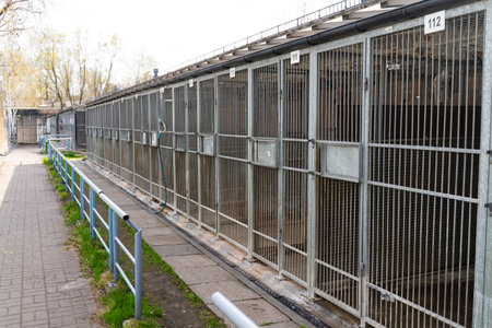 Exterior view of animal shelter kennels showing multiple metal cages. Dog rescue facility with numbered outdoor kennels and fencing. Animal shelter with caged kennels for stray and rescue dogsの写真素材
