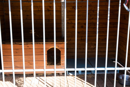 Wooden outdoor kennel for dogs, spacious and secure with metal bars. Large dog shelter with wood walls, metal fence, and cozy sleeping areaの写真素材