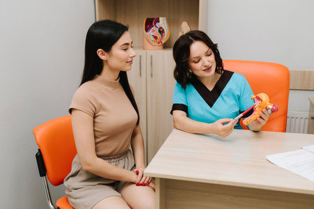 Gynecologist explains reproductive system using an anatomical uterus model during a medical...