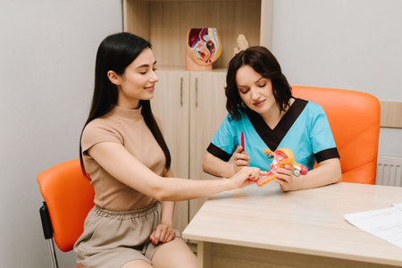Gynecologist explains reproductive system using an anatomical uterus model during a medical consultation. Gynecological visit educates women about fertility, health, and preventionの写真素材