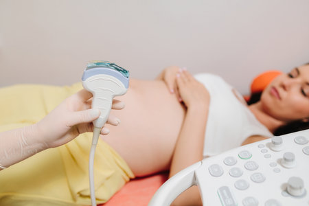 Ultrasound Gel Application. Ultrasound gel is applied to the transducer for effective soundwave...