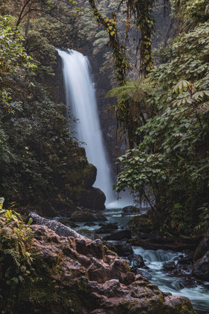 Waterfall has been discoverd on a sunny day hike in the tropical rainforests of Costa Rica