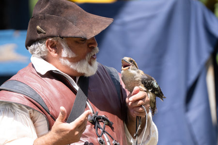 Michigan Renaissance Festival in Holly, Michigan on August 30, 2025