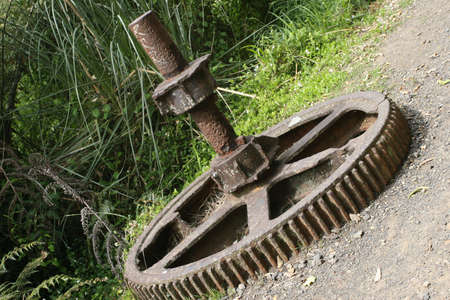 Parts of a Machine left in the forest