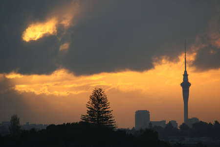 the Sky Tower at sunset great for backgroundの写真素材