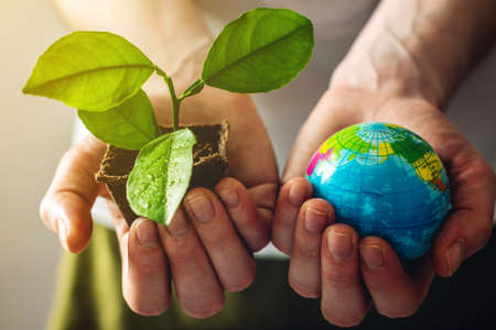 Women's hands hold a green sprout of a tree sapling in one hand and a globe of earth in the other....