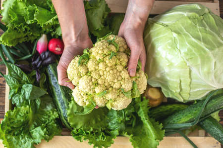 Person is taking fresh vegetables and herbs out of a wooden box. Concept of growing healthy crops in your garden.の写真素材