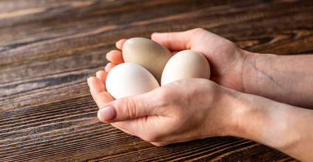 Women's hands are carefully holding three raw organic eggs with shells of different unusual colors. Wooden background.の写真素材
