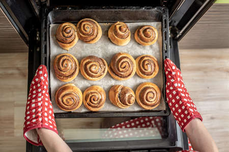 Female hands are taking out fresh fragrant cinnamon rolls from the hot oven. Concept of the homemade baking and cooking.の写真素材