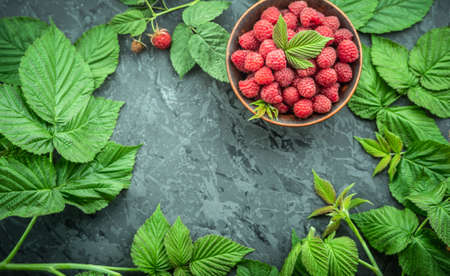 Appetizing juicy ripe raspberries in a bowl surrounded by green raspberry leaves on a black...