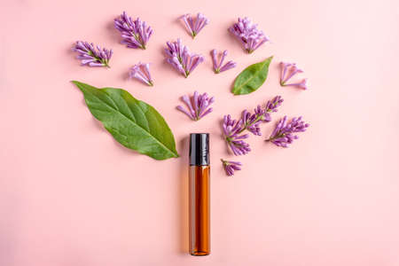 Glass bottle with cosmetic oil and leaves and flowers lilac on a pink background. Concept of flowers fragrance, oil and serum for skin care and massage. Top view and flat lay.の写真素材