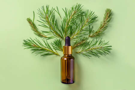 Bottle of essential oil and cones and needles of conifers trees on a green background. Concept of fragrance, natural product for care and healthy procedures. Top view and flat layの写真素材