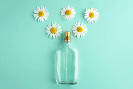 Glass bottle of perfume chamomile flowers on a green blue background. Concept of a organic chamomile...