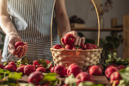Woman in an apron in the kitchen in front of a table with beautiful red apples from her garden. Concept of an autumn cozy atmosphere, harvesting a fresh home harvest.の写真素材