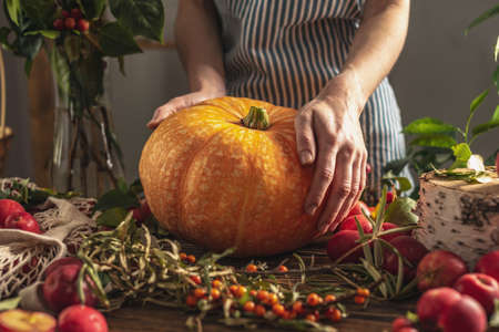 There is a fresh harvest from the garden on a wooden table and a woman in an apron is holding a large yellow pumpkin in her hands. The concept of a cozy atmosphere and autumn mood.の写真素材
