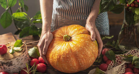There is a fresh harvest from the garden on a wooden table and a woman in an apron is holding a large yellow pumpkin in her hands. The concept of a cozy atmosphere and autumn mood.の写真素材