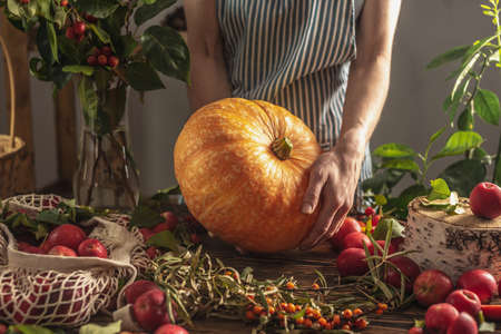 There is a fresh harvest from the garden on a wooden table and a woman in an apron is holding a large yellow pumpkin in her hands. The concept of a cozy atmosphere and autumn mood.の写真素材