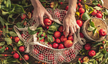 Women's hands and a string bag with red apples on a wooden table. Concept of harvesting fresh crops from the garden, a cozy autumn atmosphere. top viewの写真素材