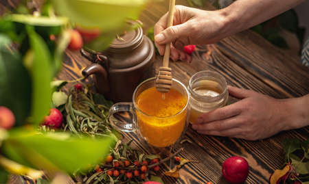 Woman is making a tasty and healthy vitamin tea from fresh sea buckthorn berries with honey. Concept of a cozy autumn atmosphere and health care during colds and flu season.の写真素材