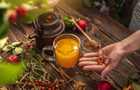 Woman is making a tasty and healthy vitamin tea from fresh sea buckthorn berries with honey. Concept of a cozy autumn atmosphere and health care during colds and flu season.の写真素材