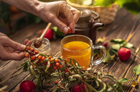 Woman is making a tasty and healthy vitamin tea from fresh sea buckthorn berries with honey. Concept of a cozy autumn atmosphere and health care during colds and flu season.の写真素材