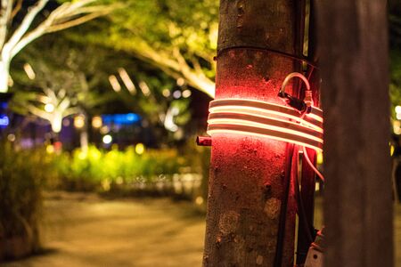 The light bulb is wrapped around a beautiful tree. red light of bulb lineの写真素材