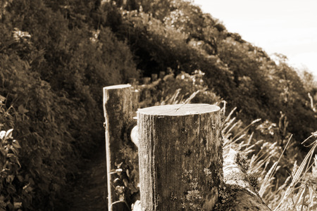 Mountain view, forest, beautiful sky, landscapeの写真素材