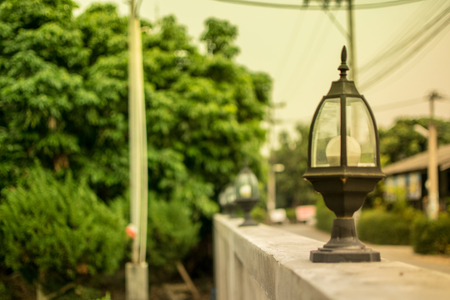 Beautiful garden flowers. In the morning sun morning, flowers, background, spring, gardenの写真素材