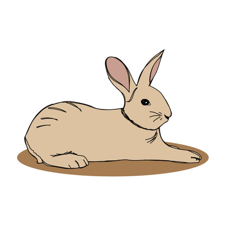 Rabbit cartoon icon. Animal cute zoo life and nature theme. Isolated design. Vector illustrationのイラスト素材