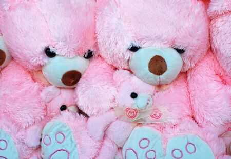 pink bear behind window backgroundの写真素材