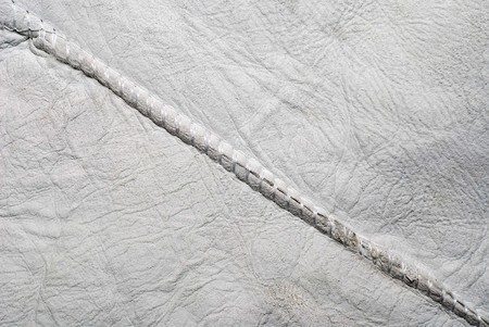 sheep skin textureの写真素材