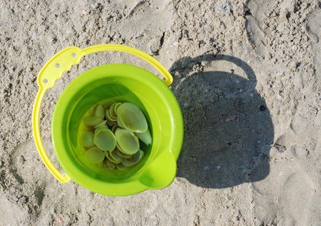 toy bucket with shells on beachの写真素材