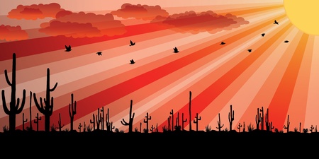 Sunset with Saguaro Cactus. のイラスト素材