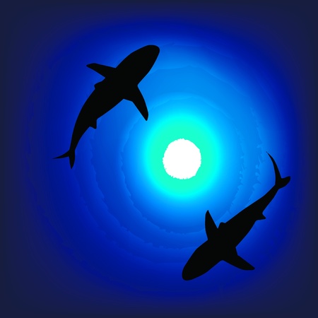 A pair of sharks in the depths of the seaのイラスト素材