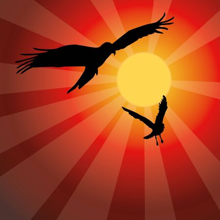 The Eagle and the preyのイラスト素材