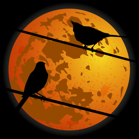 Two birds on the background of the moon. Vector.のイラスト素材