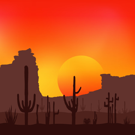 Sunset with Saguaro Cactus. Desert. Vector background.のイラスト素材